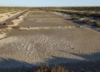 La salina seca / FOTO: Ecologistas