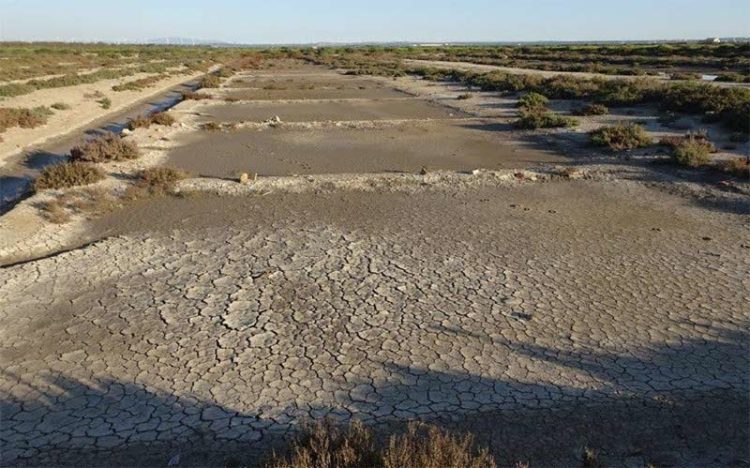 La salina seca / FOTO: Ecologistas