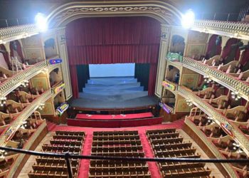 Desde el gallinero del Falla / FOTO: Eulogio García