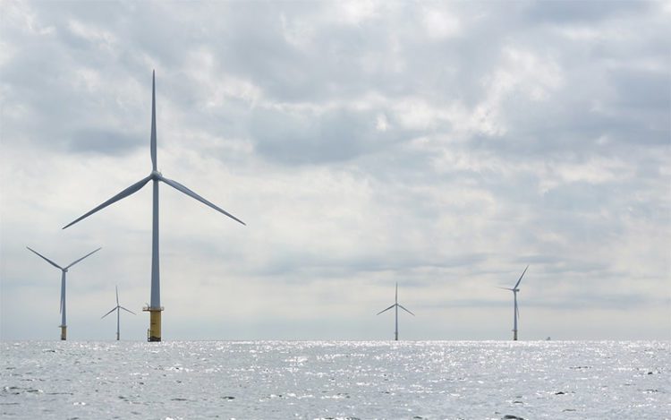 Uno de los parques eólicos en el Mar del Norte / FOTO: pixabay.com