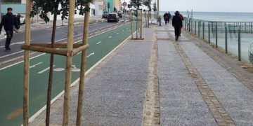 Árboles plantados recientemente en el paseo marítimo / FOTO: Ayto.