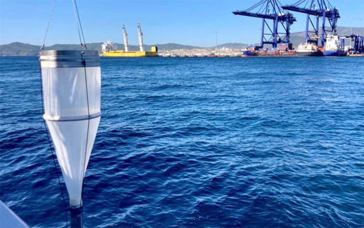 Tomando muestras en el puerto de Algeciras / FOTO: Matías Calvo