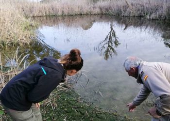 Analizando una de las charcas con técnicos de la Base / FOTO: Faunatura