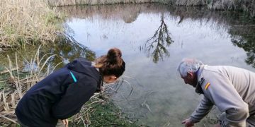 Analizando una de las charcas con técnicos de la Base / FOTO: Faunatura