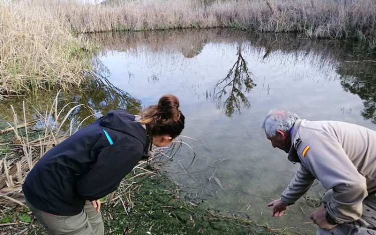 Analizando una de las charcas con técnicos de la Base / FOTO: Faunatura