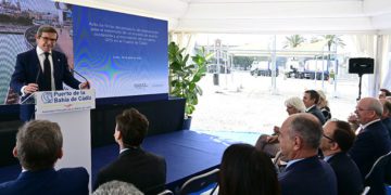 Un momento de la intervención del representante de Endesa / FOTO: Eulogio García