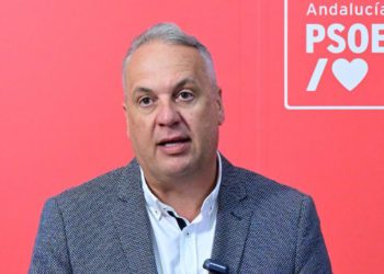 Ruiz Boix en una reciente rueda de prensa / FOTO: Eulogio García