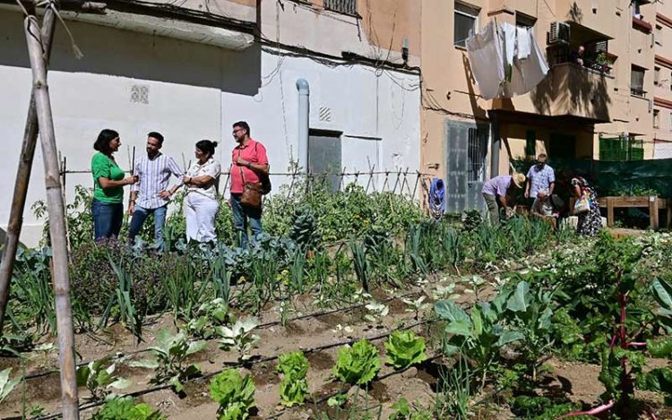 El alcaldable izquierdista visitaba días atrás el huerto de Faem / FOTO: Eulogio García