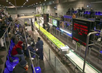 En plena subasta en la lonja portuense / FOTO: APBC