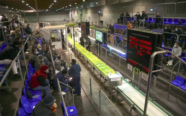 En plena subasta en la lonja portuense / FOTO: APBC