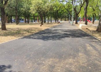 Asfalto en el parque de La Plata / FOTO: Ecologistas