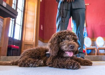 El protagonista de la convocatoria de prensa / FOTO: Ayto.