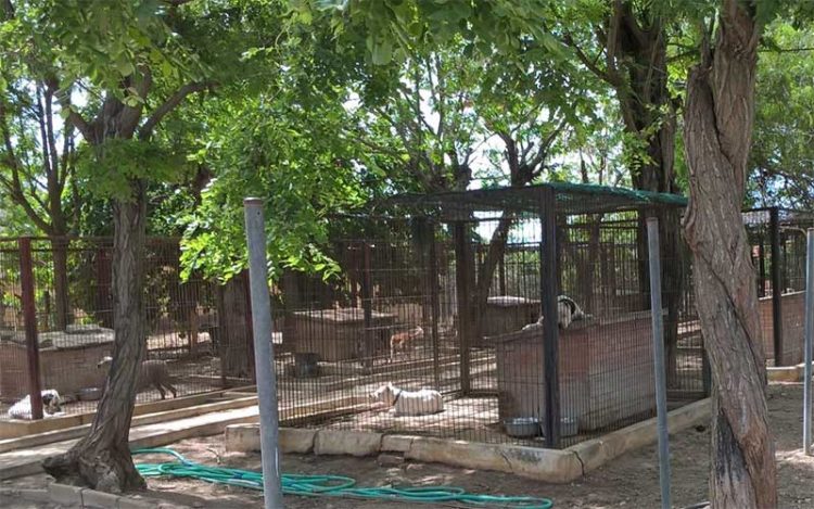 Estampa del Centro de Protección Animal Bahía de Cádiz, desde su web