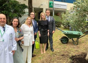 Plantación simbólica de un olivo / FOTO: Junta