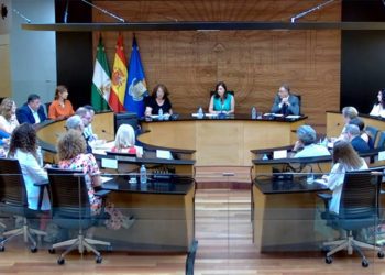 Un momento del primer pleno del mandato / FOTO: Ayto.