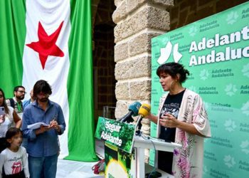 Teresa Rodríguez atendiendo a los medios en la Asamblea del pasado noviembre / FOTO: Eulogio García