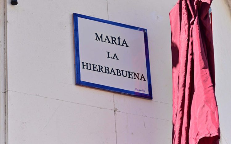 La placa que rotula la calle desde hace semanas / FOTO: Ayto.