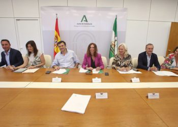 Reunión presidida por la consejera para abordar el estado del proyecto / FOTO: Junta