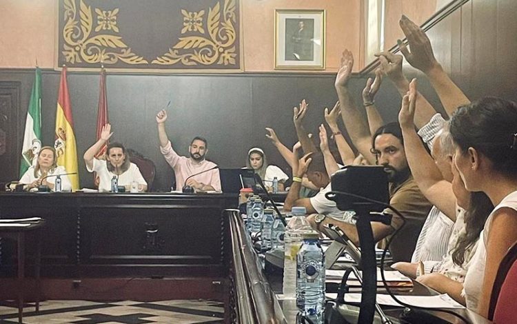 Durante una de las votaciones del pleno / FOTO: PSOE