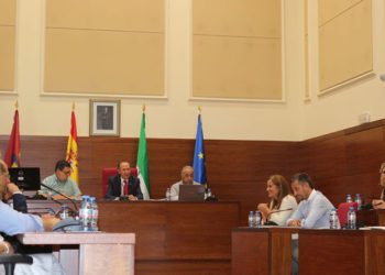 Un momento del primer pleno del mandato / FOTO: Ayto.