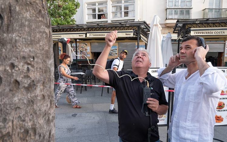 El alcalde 'escuchando' a la palmera antes de su retirada / FOTO: Ayto.