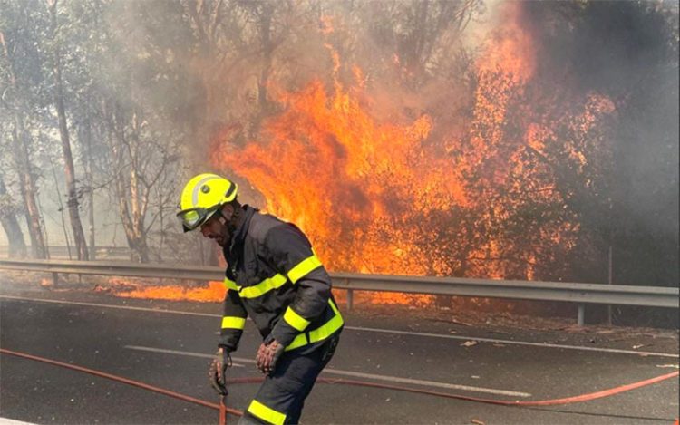 Bombero del Consorcio actuando en el fuego de Las Canteras / FOTO: Policía Nacional