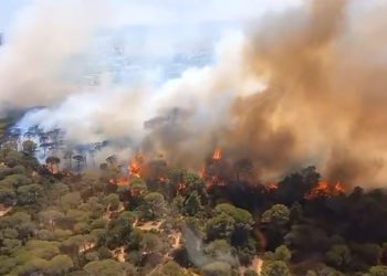 Primeros momentos del fuego captados por los medios del Infoca