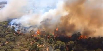 Primeros momentos del fuego captados por los medios del Infoca