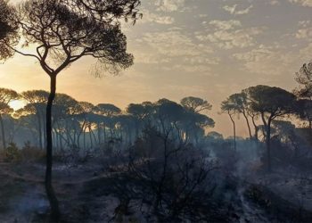 Uno de los rincones de Las Canteras, humeante a primeras horas del lunes / FOTO: Junta