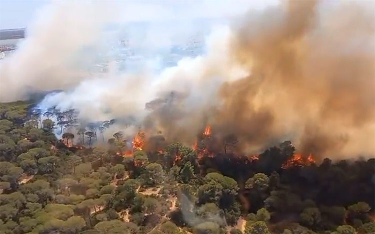 Primeros momentos del fuego captados por los medios del Infoca