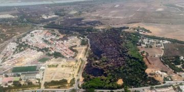 Imagen aérea de Las Canteras días después del incendio, con más negro que verde / FOTO: Ayto.