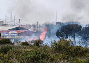 Fuego en el paraje del Tiro Pichón / FOTO: Ereagafoto