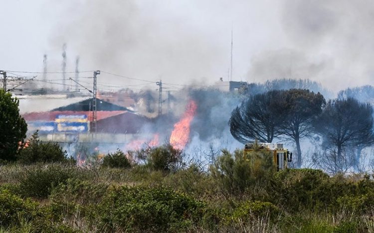 Fuego en el paraje del Tiro Pichón / FOTO: Ereagafoto