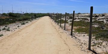 El sendero ciclopeatonal atravesando las dunas / FOTO: Eulogio García