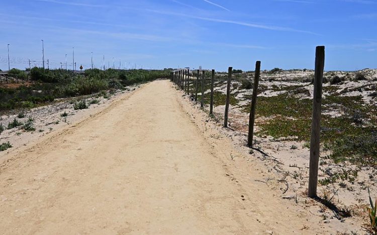 El sendero ciclopeatonal atravesando las dunas / FOTO: Eulogio García