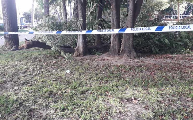 Una de las zonas del parque con precinto policial / FOTO: AxSí