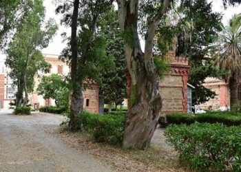 Parte de los suelos en los que debe levantarse el proyecto judicial / FOTO: Eulogio García