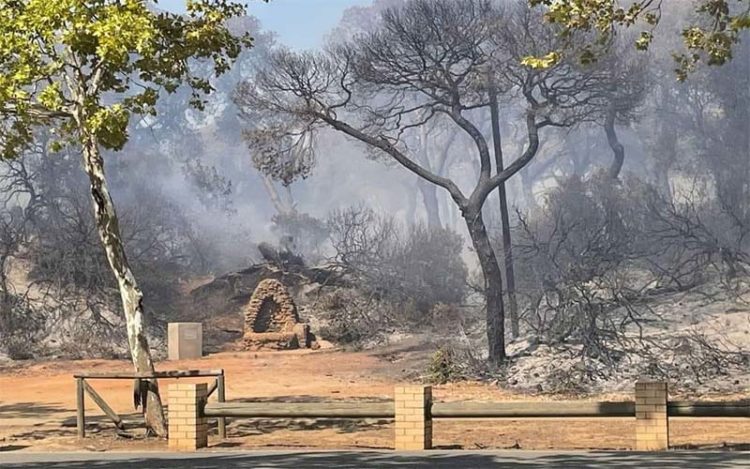 El pinar puertorrealeño quemándose / FOTO: Ayto.