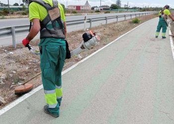 Operarios retirando la vegetación de los márgenes / FOTO: Junta