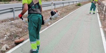 Operarios retirando la vegetación de los márgenes / FOTO: Junta