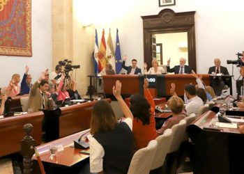 Votando en el pleno extraordinario / FOTO: Ayto.