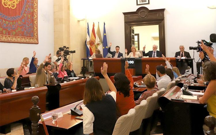 Votando en el pleno extraordinario / FOTO: Ayto.
