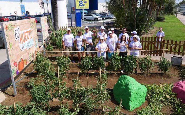 Posado en la zona acotada como huerto / FOTO: CC El Paseo