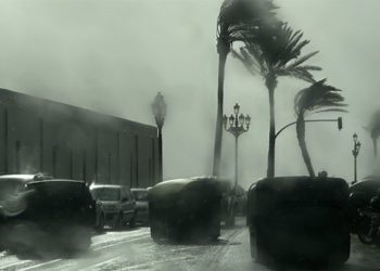 Imagen del caos en el Campo del Sur, compartida en redes por el concejal de Medio Ambiente / FOTO: @jctbcdz