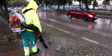 Operarios de limpieza continúan retirando hojas de las calles / FOTO: Ayto.