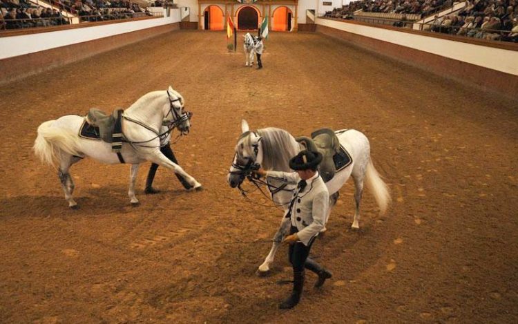 La Real Escuela Ecuestre, uno de los atractivos turísticos de Jerez / FOTO: Junta