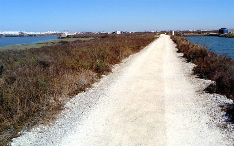 Uno de los tramos del sendero / FOTO: Junta