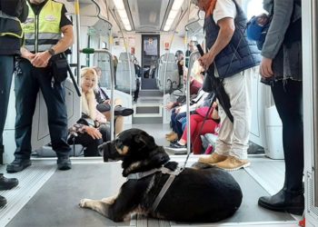 Viajero con su perro guía / FOTO: Junta