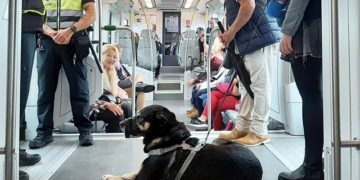 Viajero con su perro guía / FOTO: Junta