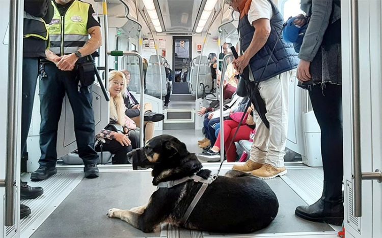 Viajero con su perro guía / FOTO: Junta